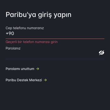 Paribu İşlem Yapamıyorum Ve Hata Veriyor