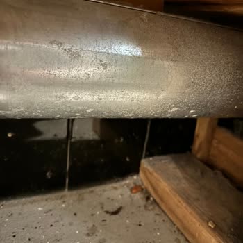 ABD Airbnb Misafirlerin Hakkını Savunmuyor