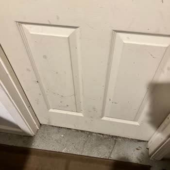 Fraudulent Listings, Unsanitary Conditions, and Unfair Refunds on Airbnb