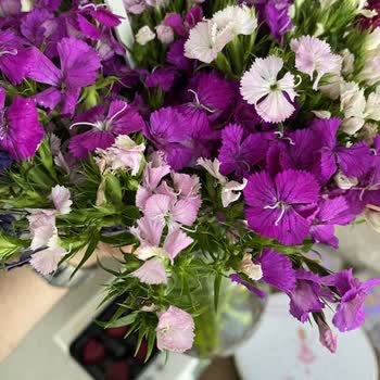 Çiçek Sepeti Özel Günümü Mahvetti