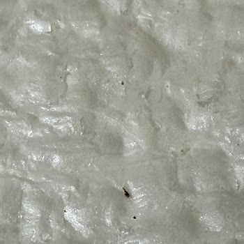 Migros Kurtlu Güllaç Çıktı