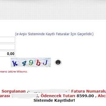 Gençlik Ve Spor Bakanlığı GİB Fatura Kaydı Bulunamadı Sorunu