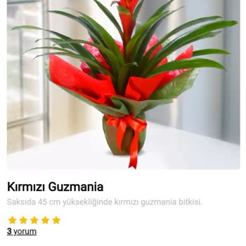 Çiçek Market'in Çürük Çiçek Satması