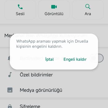 WhatsApp Yabancı Numara