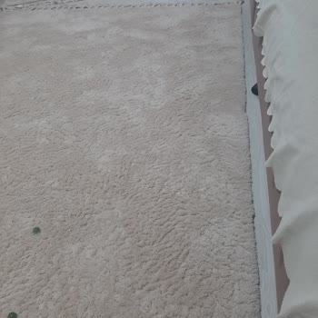 Madame Coco Carol Hali Şikayet