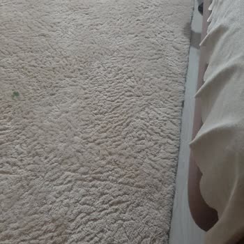 Madame Coco Carol Hali Şikayet