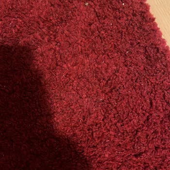 Gül Halı Yıkama (İstanbul) Halı Yıkama Hizmetlerinde Yaşanan Sorunlar