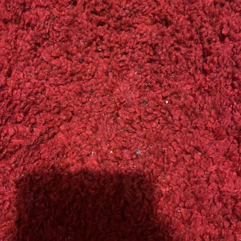 Gül Halı Yıkama (İstanbul) Halı Yıkama Hizmetlerinde Yaşanan Sorunlar