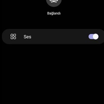 Sunny Webos Program İndirme Hatası