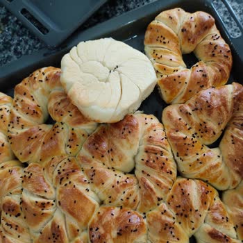 Bosch Fırın Pişirmiyor Kek Börek Altı Kızartmıyor Üstü Yakıyor