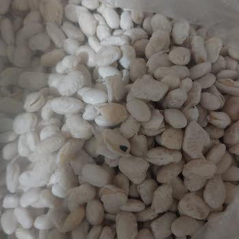 Tat Bakliyat Tat Böceklenmiş Kuru Fasulye