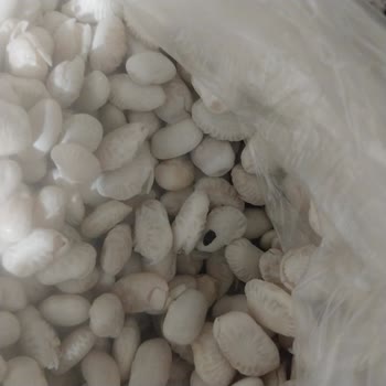 Tat Bakliyat Tat Böceklenmiş Kuru Fasulye