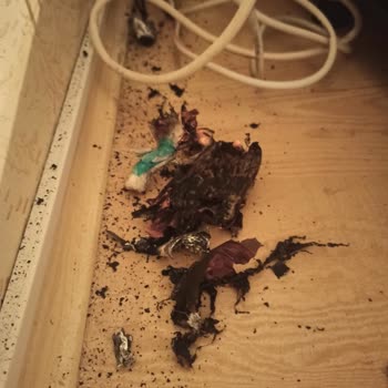 A101 Den Aldığım Yui Marka Masaj Aleti Diye Satılan Bomba