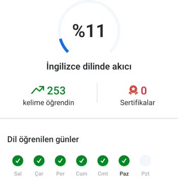 Busuu Busu Uygulamadan Atma Ve Düzelmeme Sorunu
