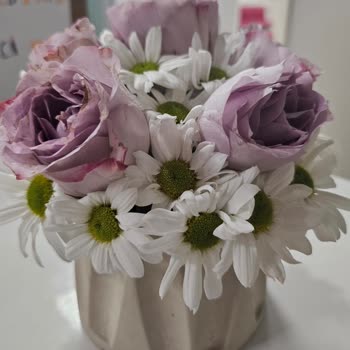 Taze Çiçek (tazecicek.com) Çürümüş Gül