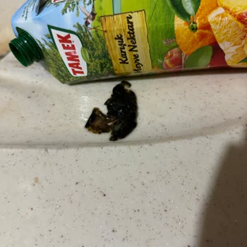 Tamek Meyve Suyu Deneyimim Ve Kalite Endişem