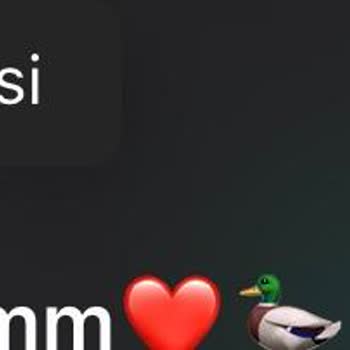 iPhone 14 Klavye Öneri Sorunu