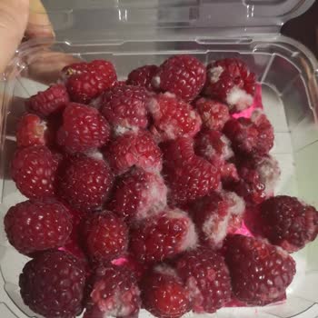 Yemek Sepeti Küflü Ürün