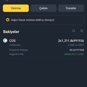Binance Eksik Param Var