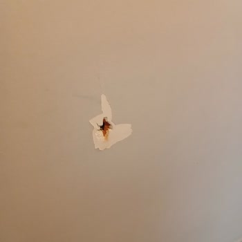 Keskin Yapı Malzemeleri Paramızla Rezil Olduk.