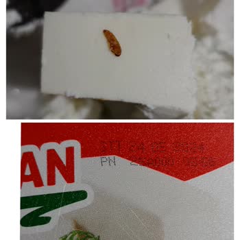 Bahçıvan Süzme Peynir İçinden Çıkan Ölü Kurtçuk