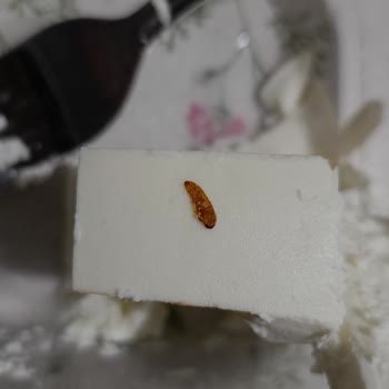 Bahçıvan Süzme Peynir İçinden Çıkan Ölü Kurtçuk