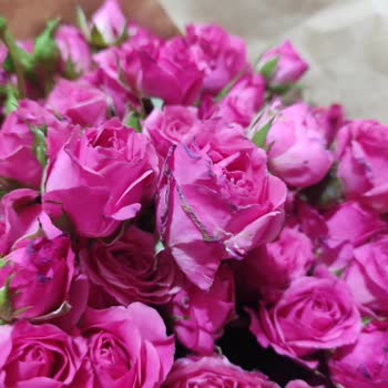 Taze Çiçek (tazecicek.com) Nişan İçin Sipariş Edilen Buketin Sorunları