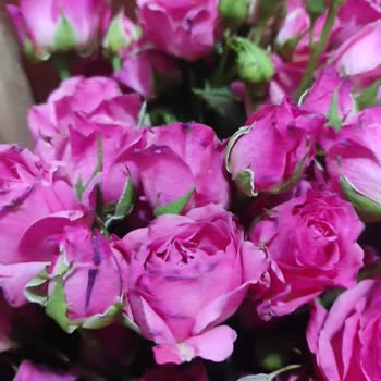 Taze Çiçek (tazecicek.com) Nişan İçin Sipariş Edilen Buketin Sorunları