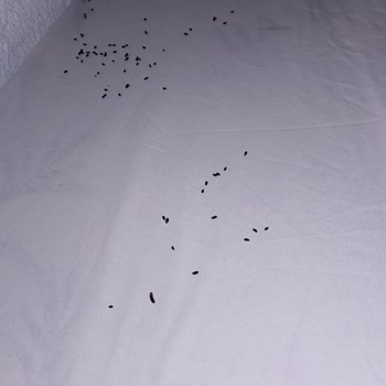 Bilge Alaçatı Butik Otel'de Beklenenin Altında Hizmet