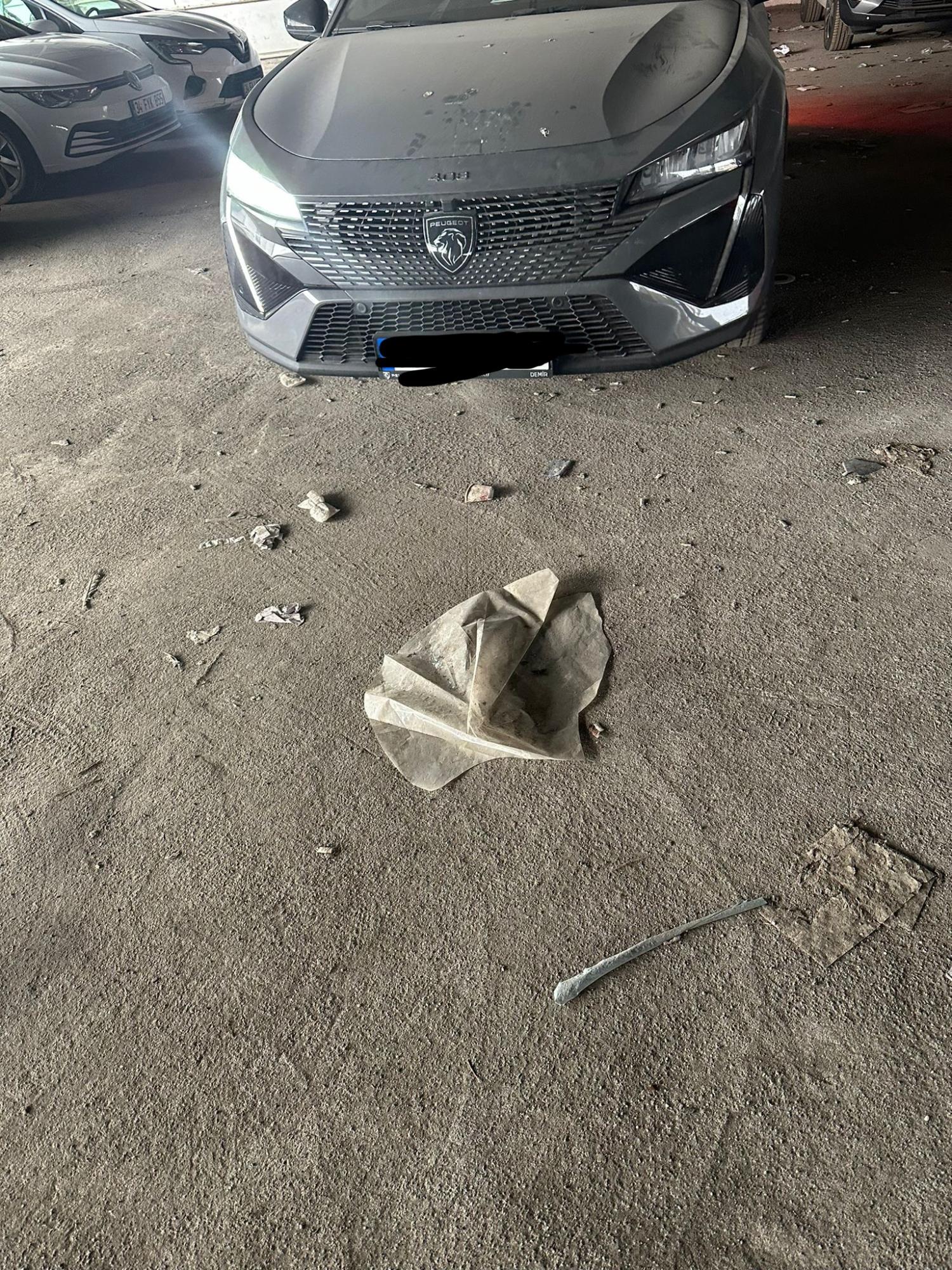 Peugeot 408 Headlight Malfunction & Endless Waiting at Authorized ...