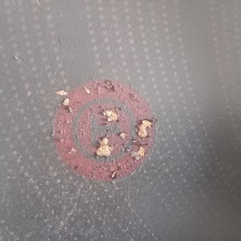 Tefal 32 Cm Tava Teflonu Attı