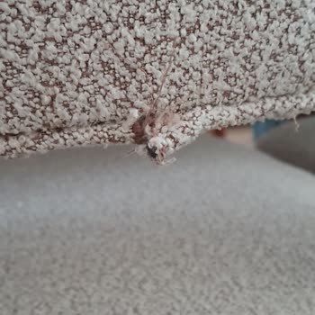 Özbay Mobilya Hasarlı Ürün Teslimi