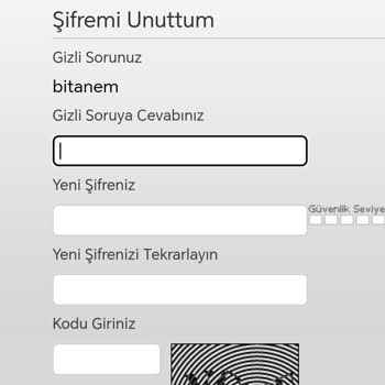 Mynet Mail Giriş Problemi Ve Çözülememesi