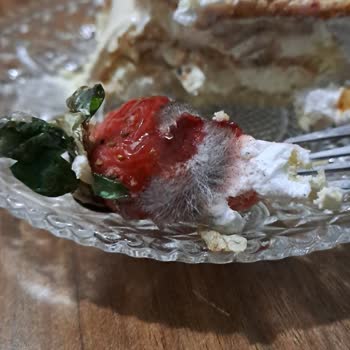 Pastamet Fırını Eriklide Bozuk Yaş Pasta Satıyor