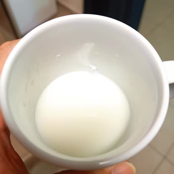 Pınar Sütün İçerisinde Kaymak Benzeri Garip Yapıda Şeyler Çıktı