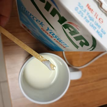 Pınar Sütün İçerisinde Kaymak Benzeri Garip Yapıda Şeyler Çıktı