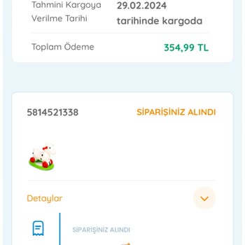 ebebek Oyuncak At Siparişimde Yaşanan Gecikme Ve Stok Sorunu