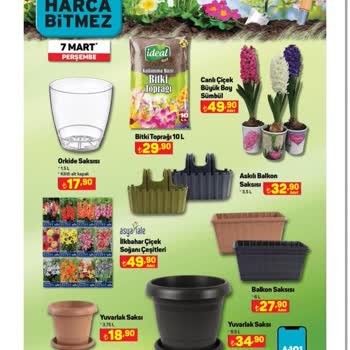 A101'de Aranan Orkide Saksısı Hayal Kırıklığı