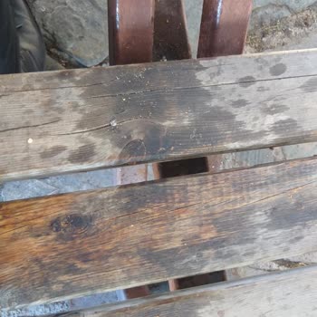 Antalya Konyaaltı Belediyesi Antalya Topçam Mesire Alanı Şikayetim Var