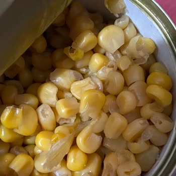 SuperFresh Rengi Değişmiş Ve Kötü Kokan Konserve Mısır