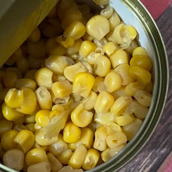 SuperFresh Rengi Değişmiş Ve Kötü Kokan Konserve Mısır