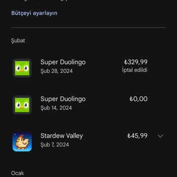 Playstore.com Dualingo Para İadesi