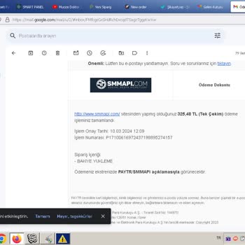 Smmapi.com Paytr Ödememi Geri İade Etmesini İstiyorum