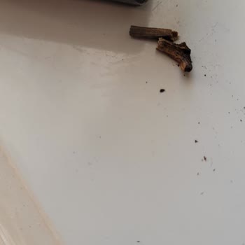 Marlboro Edge Blue Tahta Parçası