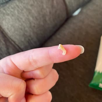 BİM Party Ballı Hardallı Cips İçinden Çıkan Değişik Madde