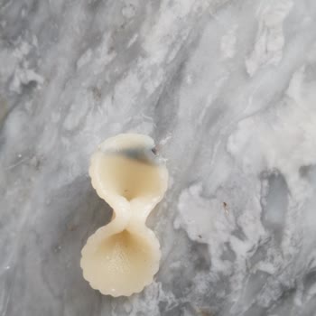 BİM Cardella Fiyonk Makarna