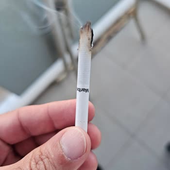 Philip Morris Sigarada Çıkan Damarlar Hk