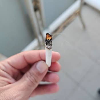Philip Morris Sigarada Çıkan Damarlar Hk