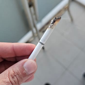 Philip Morris Sigarada Çıkan Damarlar Hk