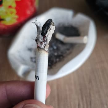 Philip Morris Sigarada Çıkan Damarlar Hk